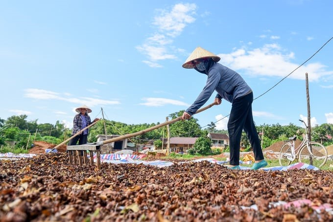 Đầu tư cho nông nghiệp còn hạn chế, người nông dân gặp nhiều rủi ro