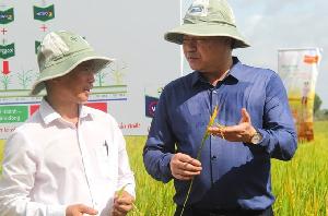 Forward Farming - Sáng kiến canh tác lúa giảm phát thải