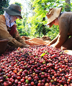 Kết nối